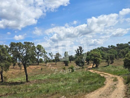 Land in Santiago do Cacém, Distrito de Setúbal