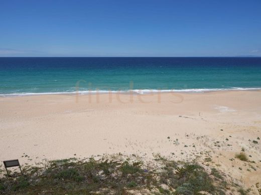 Grândola, Distrito de Setúbalの土地