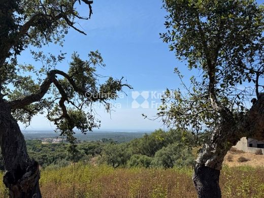 Teren w Santiago do Cacém, Distrito de Setúbal