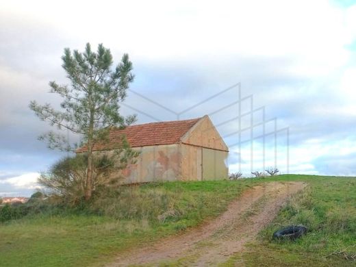 Arsa Caldas da Rainha, Distrito de Leiria