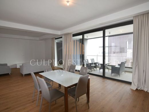 ‏דירת פנטהאוז ב  Germasógeia, Limassol District