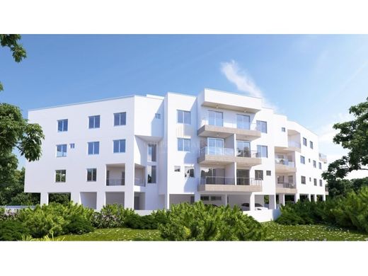 Daire Káto Páfos, Paphos District