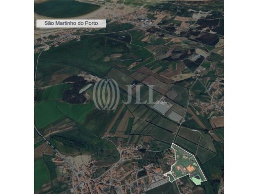 Land in Alcobaça, Distrito de Leiria