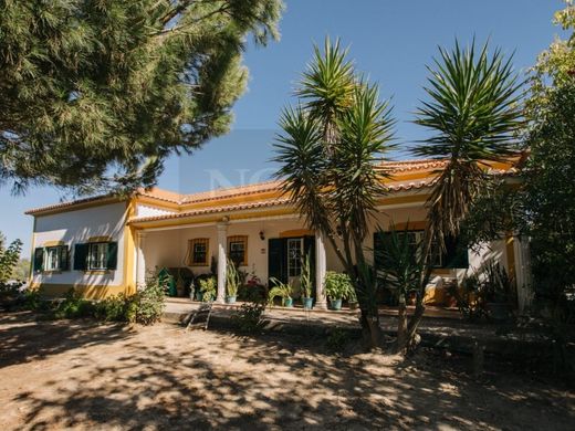 Luxury home in Coruche, Distrito de Santarém