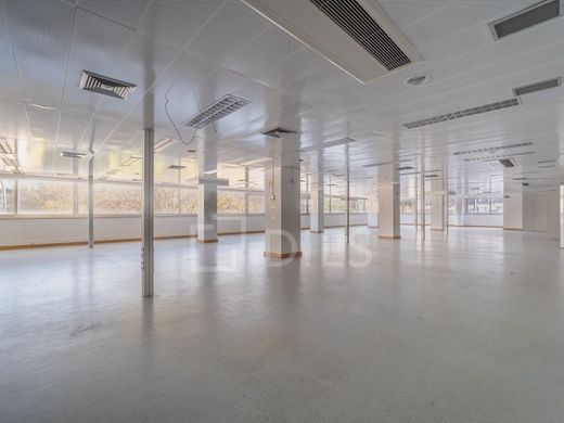 Ofis Porto, Distrito do Porto