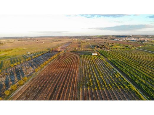 Terreno a Reguengos de Monsaraz, Distrito de Évora