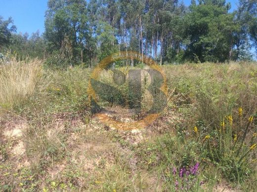 Terreno a Oliveira de Azeméis, Distrito de Aveiro