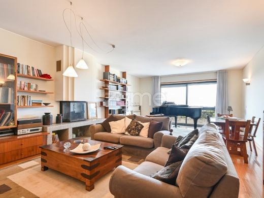 Daire Porto, Distrito do Porto