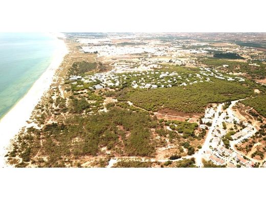 Arsa Castro Marim, Distrito de Faro