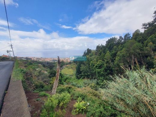 Land in Funchal, Madeira