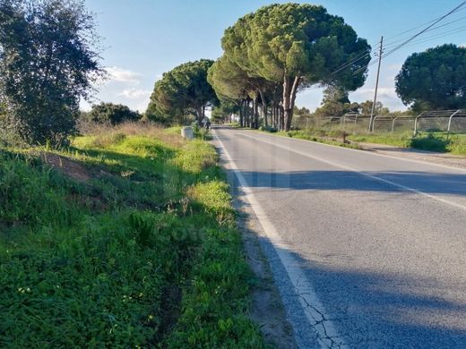 Terreno a Palmela, Distrito de Setúbal