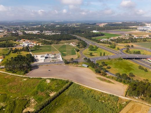 Terreno - Caldas da Rainha, Leiria