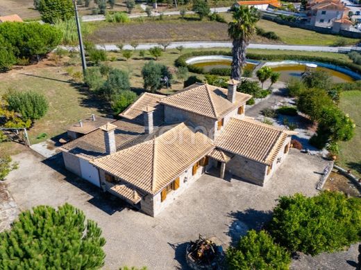 Casa de luxo - Carregal do Sal, Viseu
