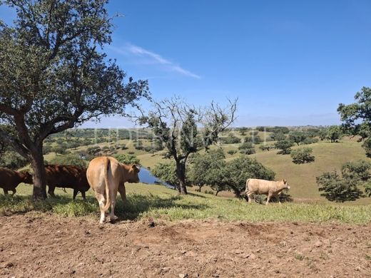 Farm in Beja, Distrito de Beja