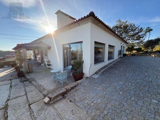 Luxury home in Baião, Distrito do Porto
