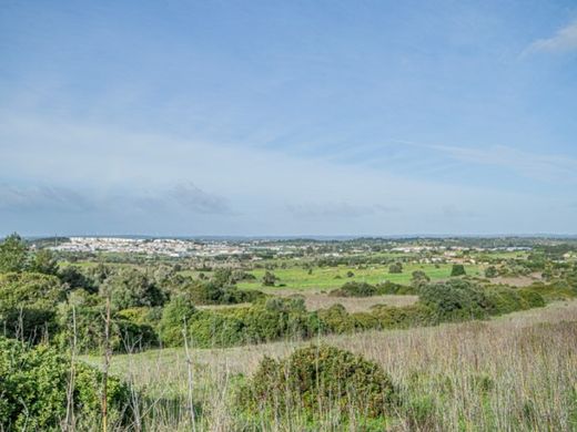 Arsa Lagos, Distrito de Faro