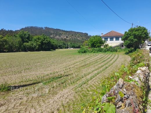 Land in Barcelos, Distrito de Braga