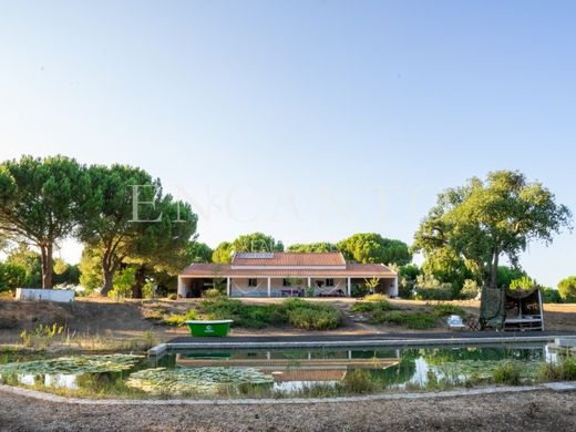 Luksusowy dom w Montemor-o-Novo, Montemor-O-Novo