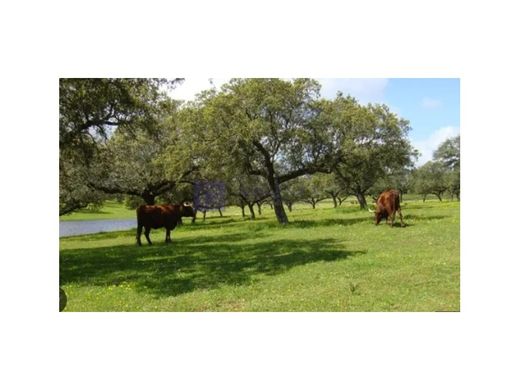Maison de luxe à Cáceres, Caceres