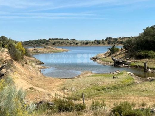 Reguengos de Monsaraz, Distrito de Évoraの土地