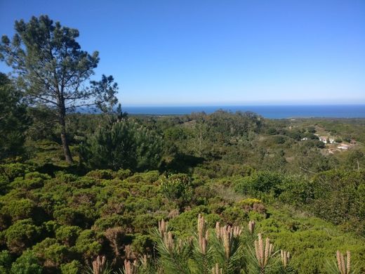 토지 / Sesimbra, Distrito de Setúbal