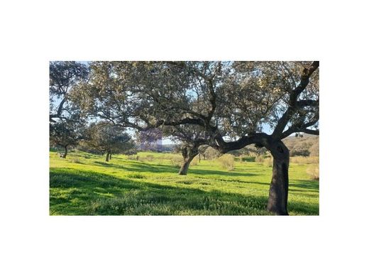 Rustico o Casale a Casatejada, Provincia de Cáceres