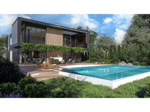 Luxus-Haus in Caldas da Rainha, Distrito de Leiria