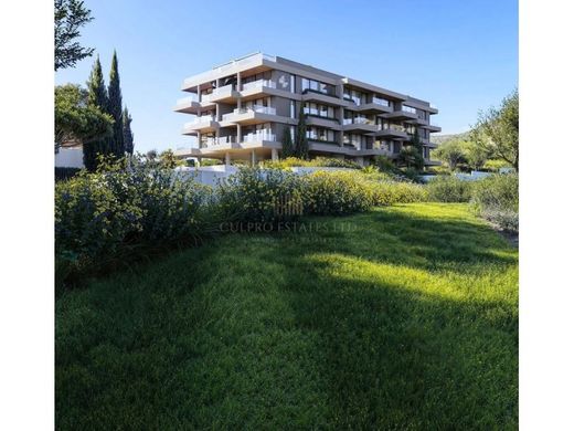 Daire Ágios Athanásios, Limassol District