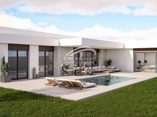 Villa in Pinoso, Alicante