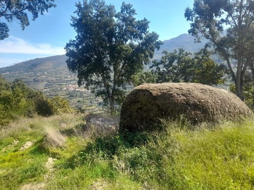 Lüks ev Mesão Frio, Distrito de Vila Real