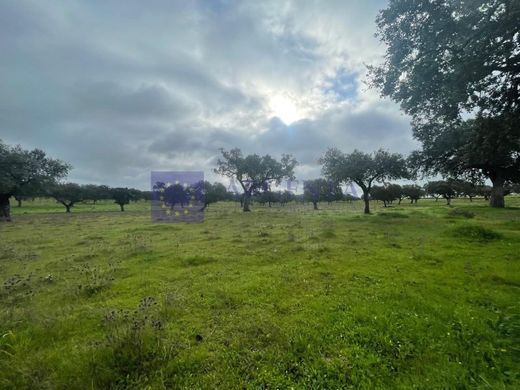 Boerderij in Cañaveral, Provincia de Cáceres