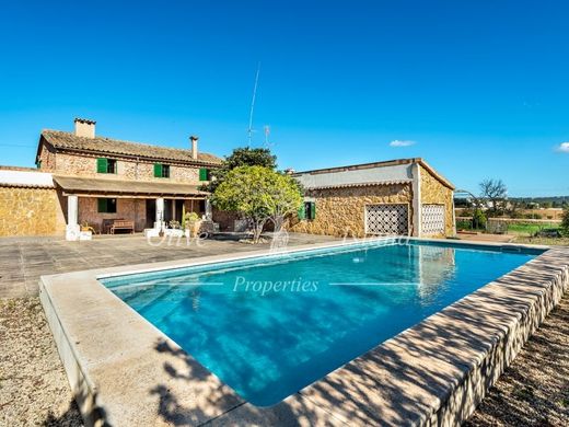 ‏בתי יוקרה ב  פלמה דה מיורקה, Illes Balears