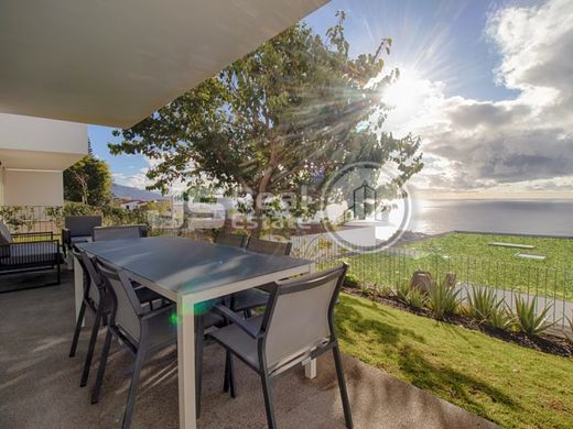 단독 저택 / Funchal, Madeira