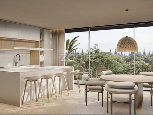 호화 저택 / Gondomar, Distrito do Porto