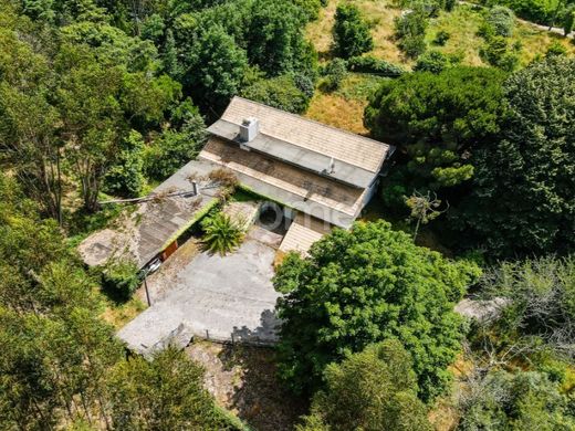 Luxury home in Figueiró dos Vinhos, Figueiró Dos Vinhos