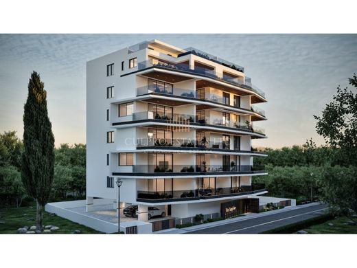 Daire Larnaka, Eparchía Lárnakas