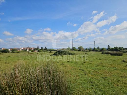 Land in Montemor-o-Velho, Montemor-O-Velho