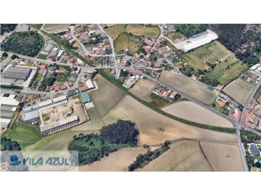 Arsa Maia, Distrito do Porto