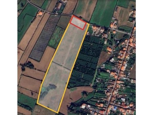 Ribeira Grande, Azoresの土地