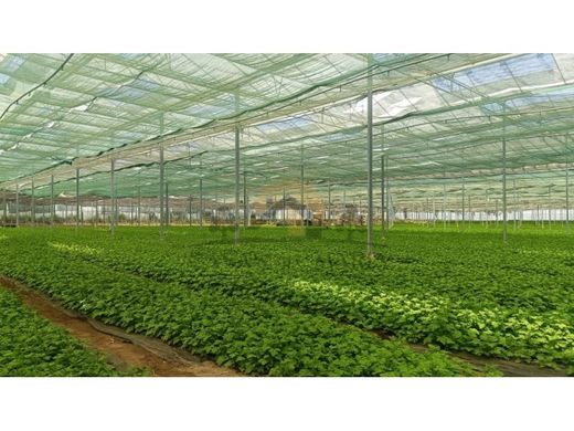 Terreno - Montijo, Setúbal