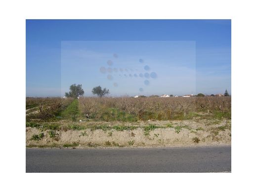 Land in Palmela, Distrito de Setúbal
