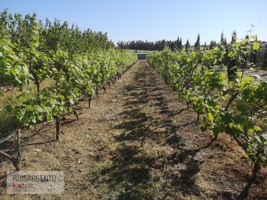 Rural ou fazenda - Idanha-a-Nova, Idanha-A-Nova