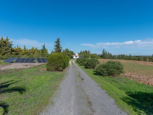 Farma w Grândola, Distrito de Setúbal