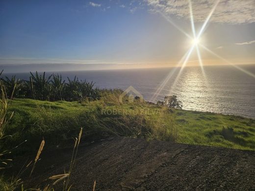 Land in Calheta, Madeira