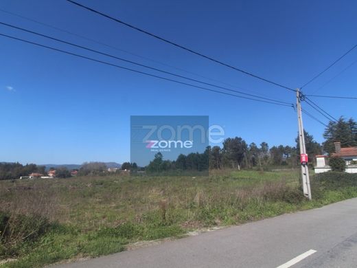 Arsa Viana do Castelo, Distrito de Viana do Castelo