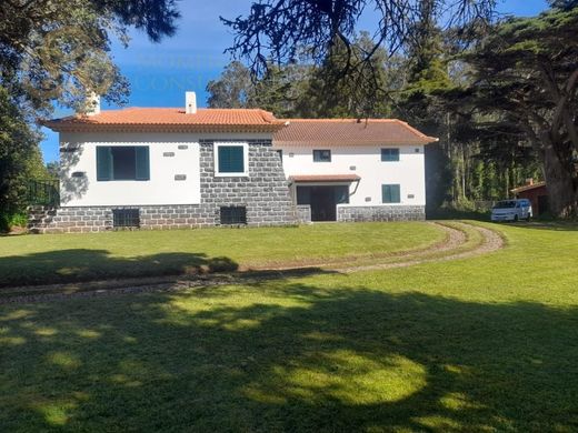 Φάρμα σε Σάντα Κρουζ, Santa Cruz