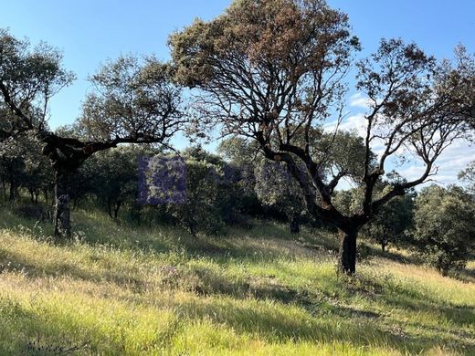 Πολυτελή κατοικία σε Herguijuela, Provincia de Cáceres