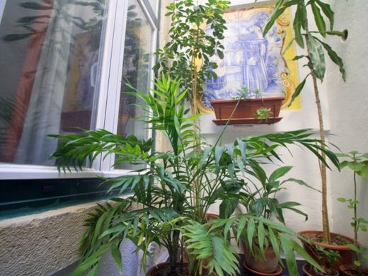 Daire Estrela, Lisbon