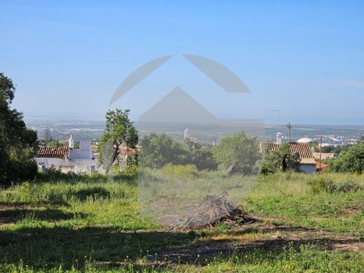 Arsa Faro, Distrito de Faro