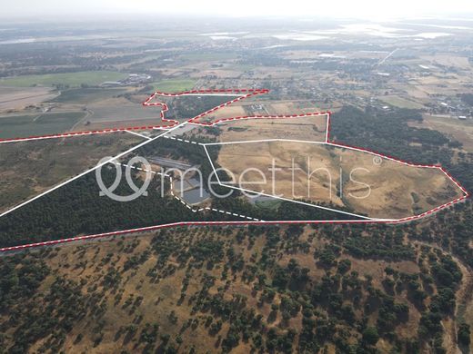 Terreno - Benavente, Santarém